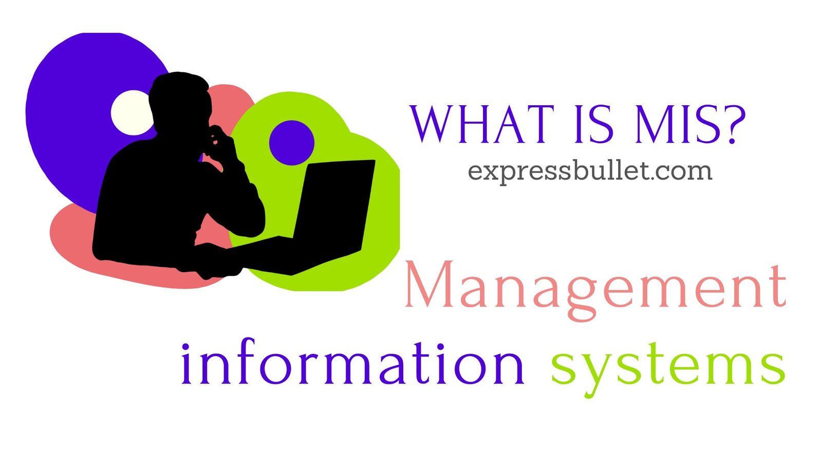 what-is-mis-management-information-systems-express-bullet